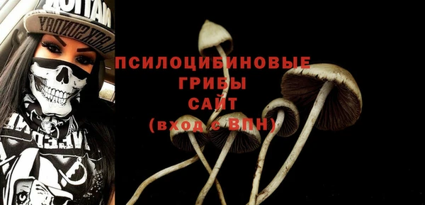 индика Баксан