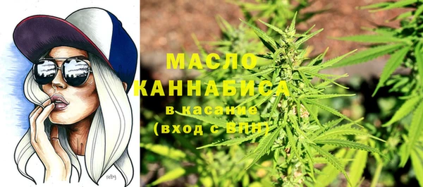 индика Баксан