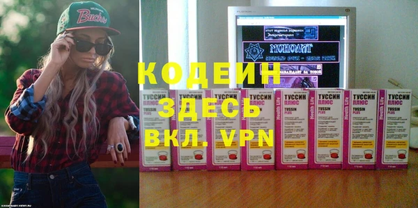 индика Баксан