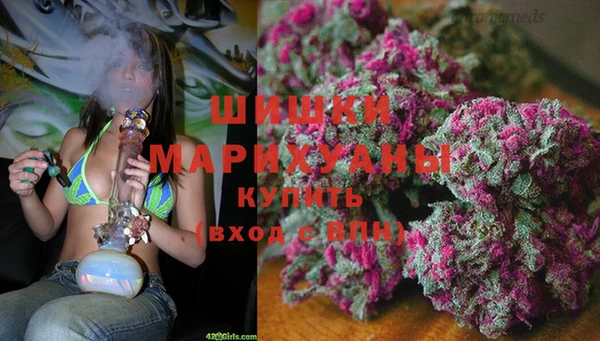 индика Баксан