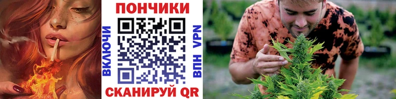 где купить наркотик  mega ONION  Конопля OG Kush  Серафимович 